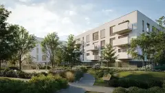 Ananasowa, Warszawa